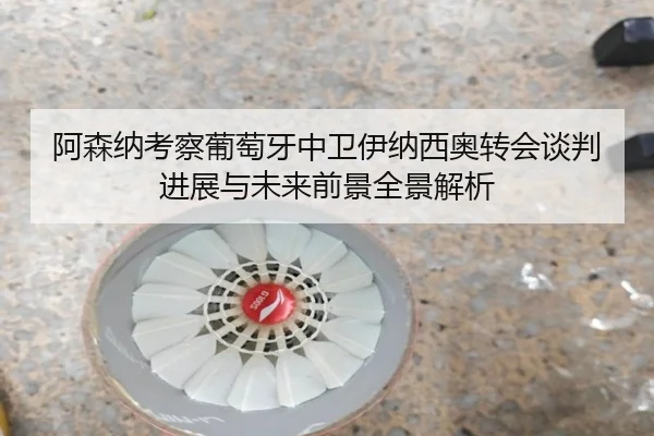 阿森纳考察葡萄牙中卫伊纳西奥转会谈判进展与未来前景全景解析 | kaiyun